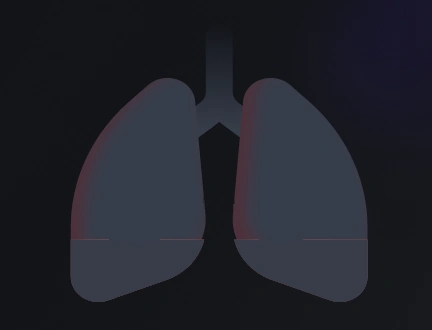 lungs